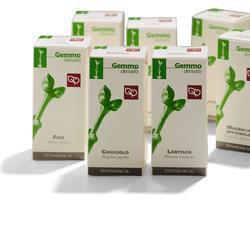 FICO MACERATO GLICERICO 100 ML - Farmacia Castello Srl