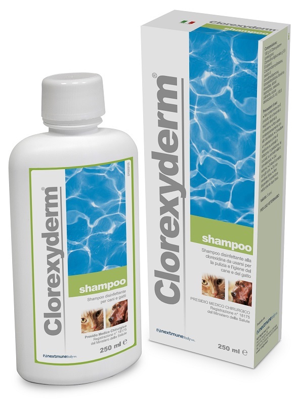CLOREXYDERM SHAMPOO 250 ML - Farmacia Castello Srl