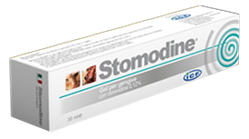 STOMODINE GEL GENGIVALE CANI 30 ML - Farmacia Castello Srl