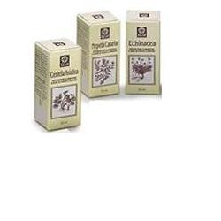 ECHINACEA ESTRATTO ANALCOLICO 50 ML ARTICOLO 813 - Farmacia Castello Srl