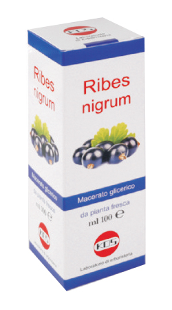 RIBES NIGRUM MACERATO GLICERICO 100 ML GOCCE - Farmacia Castello Srl