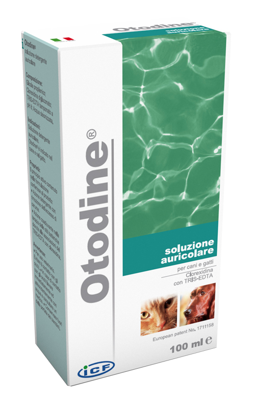 OTODINE DETERGENTE LIQUIDO 50 ML - Farmacia Castello Srl