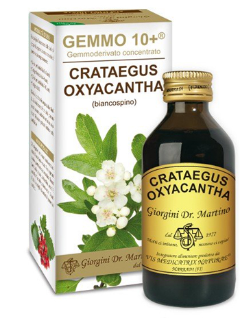 GEMMO 10+ BIANCOSPINO LIQUIDO ANALCOLICO 100 ML - Farmacia Castello Srl