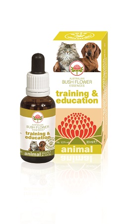 TRAINING & EDUCATION 30 ML - Farmacia Castello Srl
