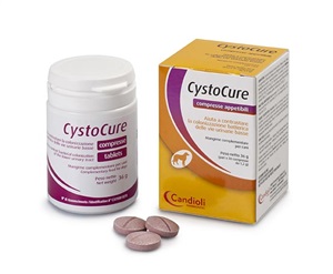 CYSTOCURE FORTE BARATTOLO 30 COMPRESSE - Farmacia Castello Srl