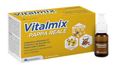 VITALMIX PAPPA REALE 10FLACONCINI X10 ML S/GL - Farmacia Castello Srl