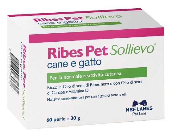 RIBES PET SOLLIEVO BLISTER 60 PERLE - Farmacia Castello Srl