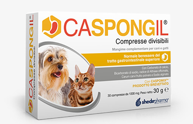 CASPONGIL 30 COMPRESSE DIVISIBILI - Farmacia Castello Srl