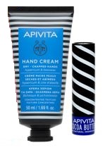 APIVITA PROMO XM WINTER WONDERS HYPERICUM CREMA MANI SECCHE E SCREPOLATE 50 ML + BALSAMO LABBRA CON BURRO DI CACAO SPF20 4,4 G - Farmacia Castello Srl