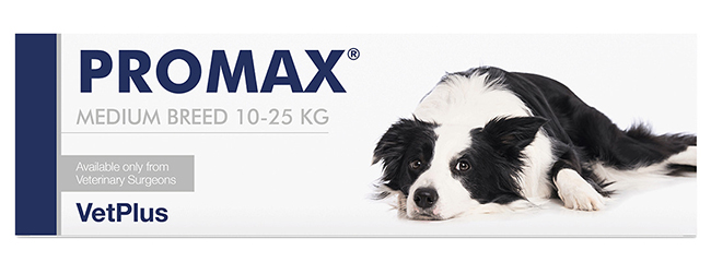 PROMAX MEDIUM BREED 18 ML - Farmacia Castello Srl
