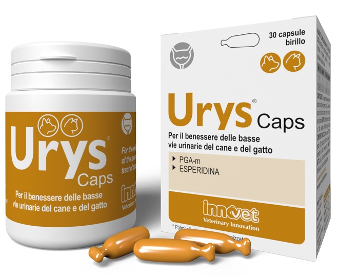 URYS CAPS 30 CAPSULE - Farmacia Castello Srl