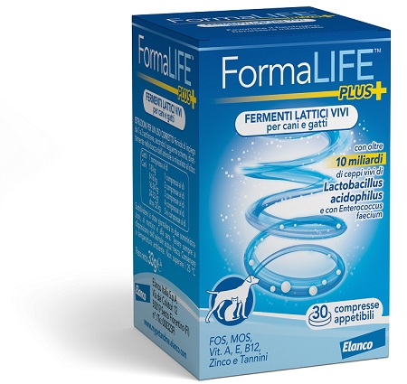 FORMALIFE PLUS FERMENTI LATTICI VIVI 30 COMPRESSE APPETIBILI - Farmacia Castello Srl